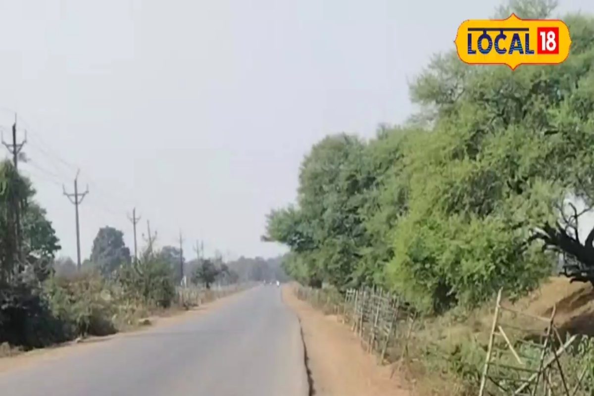 पश्चिमी विक्षोभ का दिखेगा असर, छत्तीसगढ़ में आज इन जगहों पर बारिश की संभावना