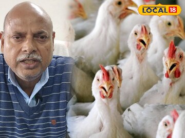 बर्ड बर्ड