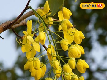 प्रतीकत्मक