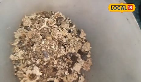 Sakmunia Sakmunia