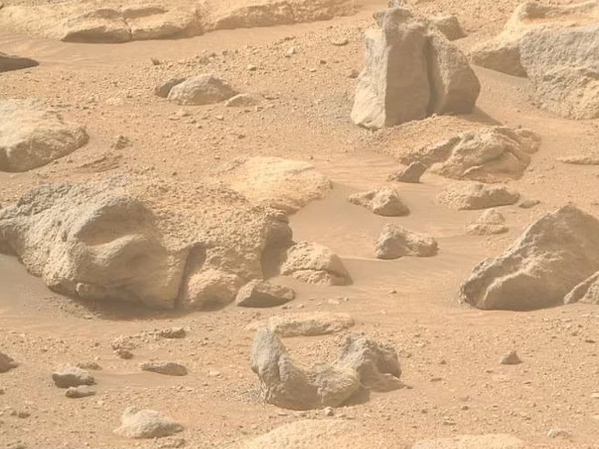 Life on Mars, Human blood, मंगल ग्रह पर जीवन, Mars exploration, मंगल अन्वेषण, Martian surface, मंगल की सतह, extraterrestrial life, बाहरी जीवन, weird news, bizarre news, shocking news, world, अजब गजब, अजीबोगरीब खबर, जरा हटके, Microbial life on mars,