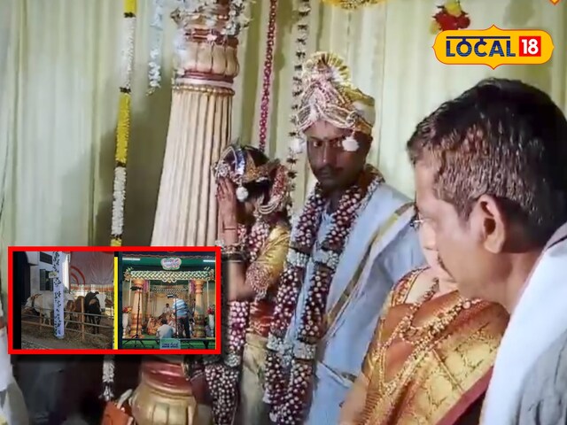 इस शादी में दिखी अनोखी रस्म! जब मंडप में पहुंचे खास मेहमान, देख हर कोई हैरान