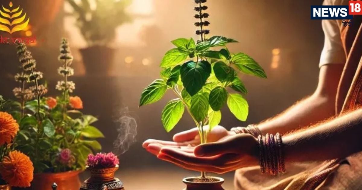 माघ में तुलसी पूजा के समय भूलकर भी ना चढ़ाएं ये 5 चीजें, नहीं तो इसका मिलेगा बुरा फल!