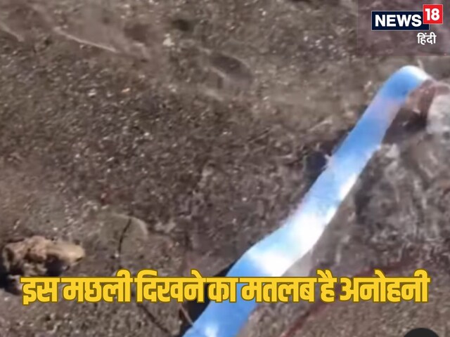 क्या कुछ बड़ा होने वाला है? समुद्र किनारे दिखी मछली, जिसका  मतलब है अनहोनी