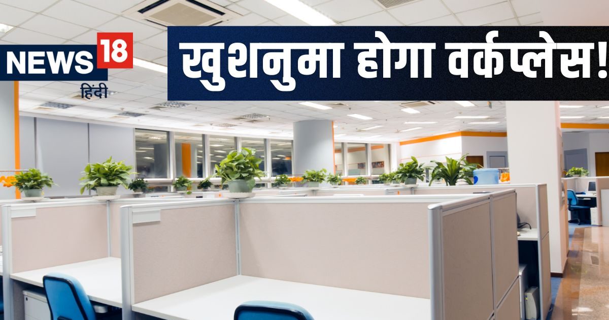 ऑफिस में लगेगा मन, आस-पास का वातावरण भी रहेगा खुशहाल! वर्कप्लेस पर रखें 3 फेंगशुई आइटम्स!
