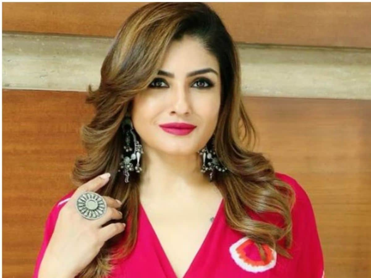 Raveena Tandon हिट फिल्में