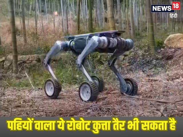 Viral video फुर्तीला हैरान करता है पहियों वाला रोबोटक डॉग Viral video फुर्तीला हैरान करता है पहियों वाला रोबोटक डॉग