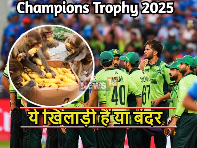 इतने केले तो बंदर भी नहीं खाते....अकरम ने भुक्कड़ पाक खिलाड़ियों को लताड़ा