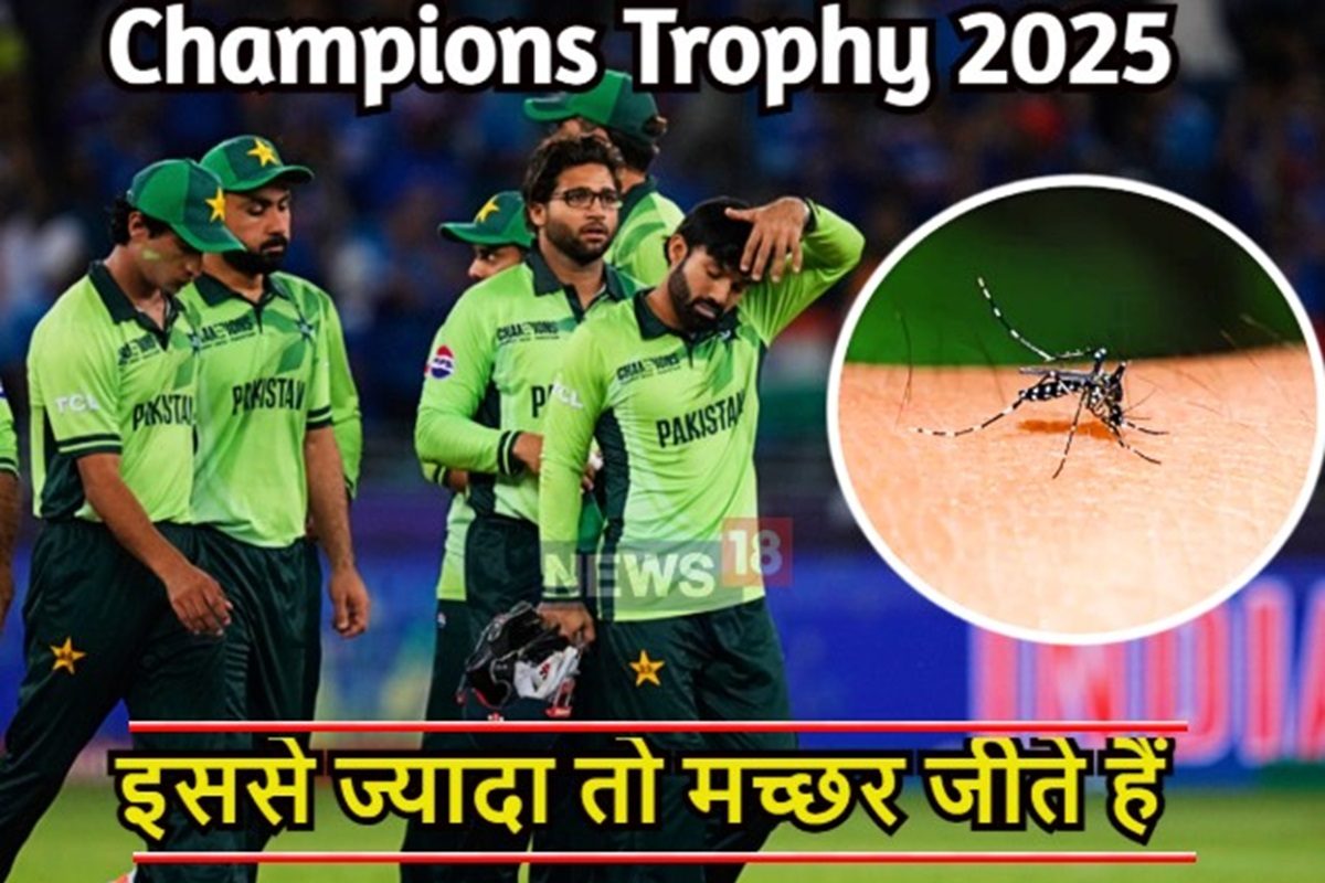 1 मच्छर जितने दिन जीता है, उससे भी जल्दी चैंपियंस ट्रॉफी से बाहर हुआ पाकिस्तान