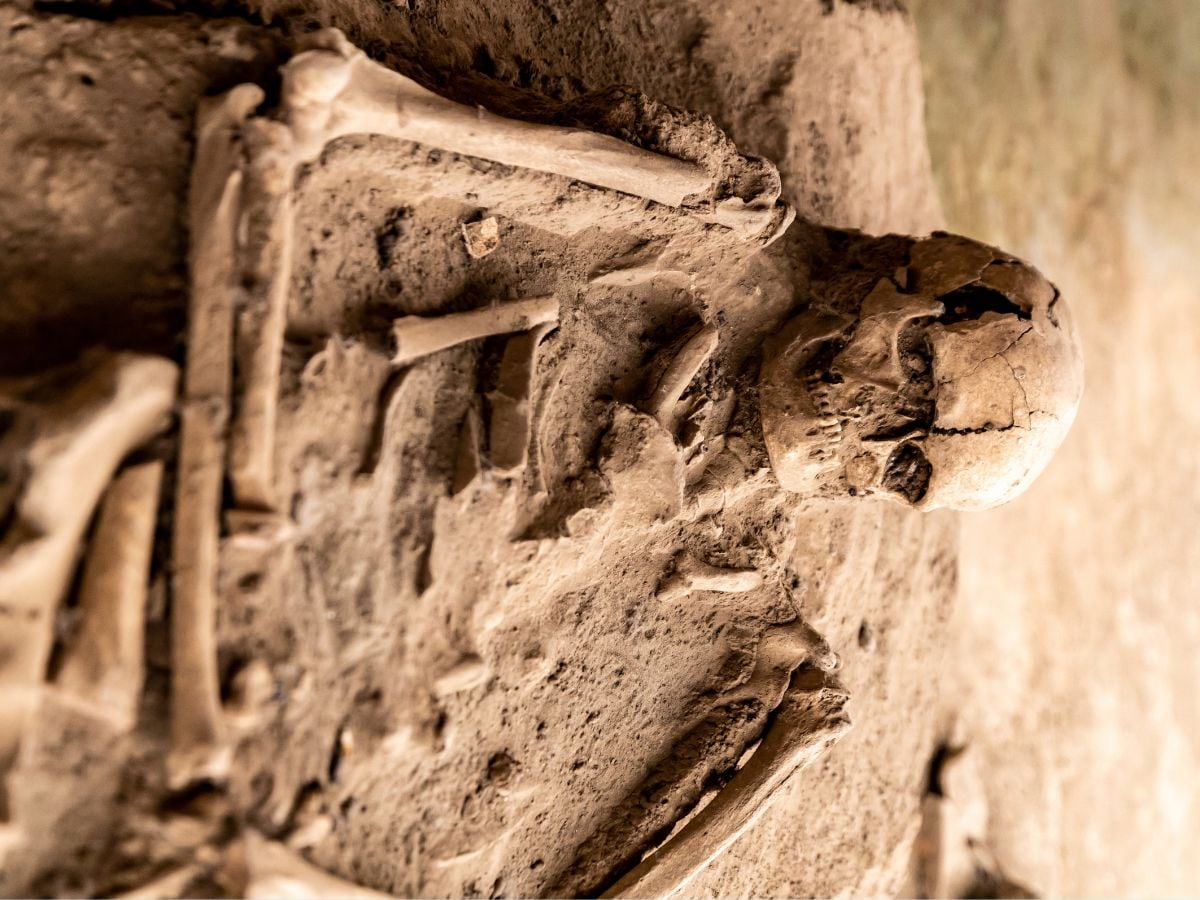 Haunted place, सुनसान जगह, Urban exploration, शहरी खोजकर्ता, Skeleton discovery, कंकाल की खोज, Crime investigation, अपराध की जांच, weird news, bizarre news, shocking news, world, अजब गजब, अजीबोगरीब खबर, जरा हटके,