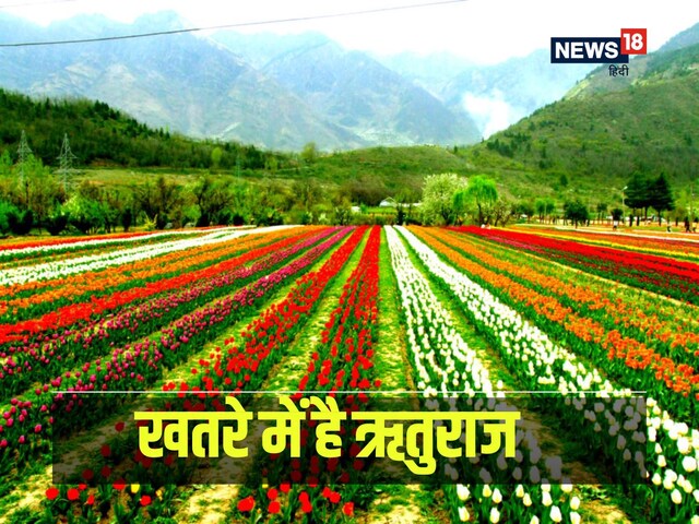 काल बन रहा बदलता जलवायु, गायब हो रहा ऋतुओं का राजा? वैज्ञानिकों ने जताई चिंता