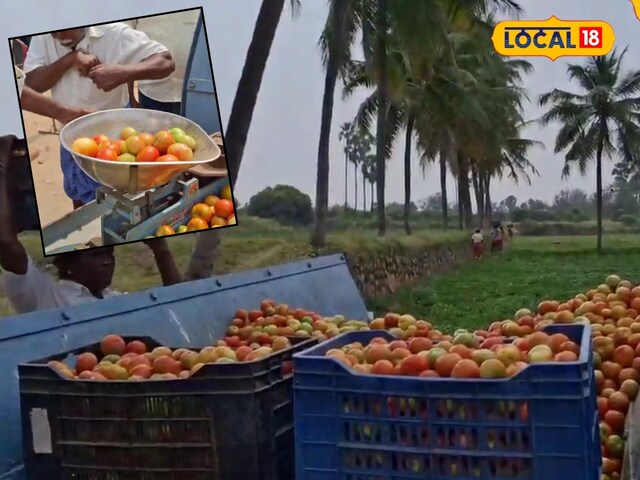 सब्जी बेच रहा है या iPhone! ये किसान सिर्फ 3 घंटे में बेच देता है 1000kg चमाटर