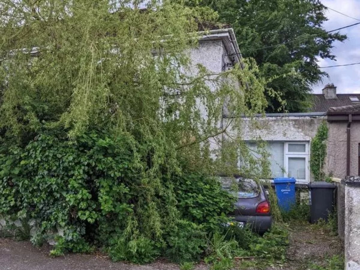 weird news, bizarre news, shocking news, world, अजब गजब, अजीबोगरीब खबर, Woman found dead, महिला की लाश बरामद, Unattended death, अकेली मौत, Pest control discovery, 