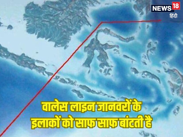जानवरों के बीच भी होती है सरहद, वाकई अलग ही दिखते हैं आवास, क्या है इसका नाम?