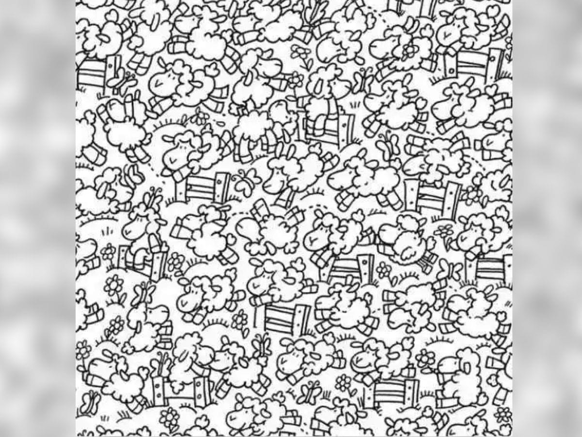 can you spot a chick, can you spot a chick in this picture, spot a chick in this picture, spot a chick in this picture within 6 seconds, optical illusion challenge, optical illusion, viral puzzle