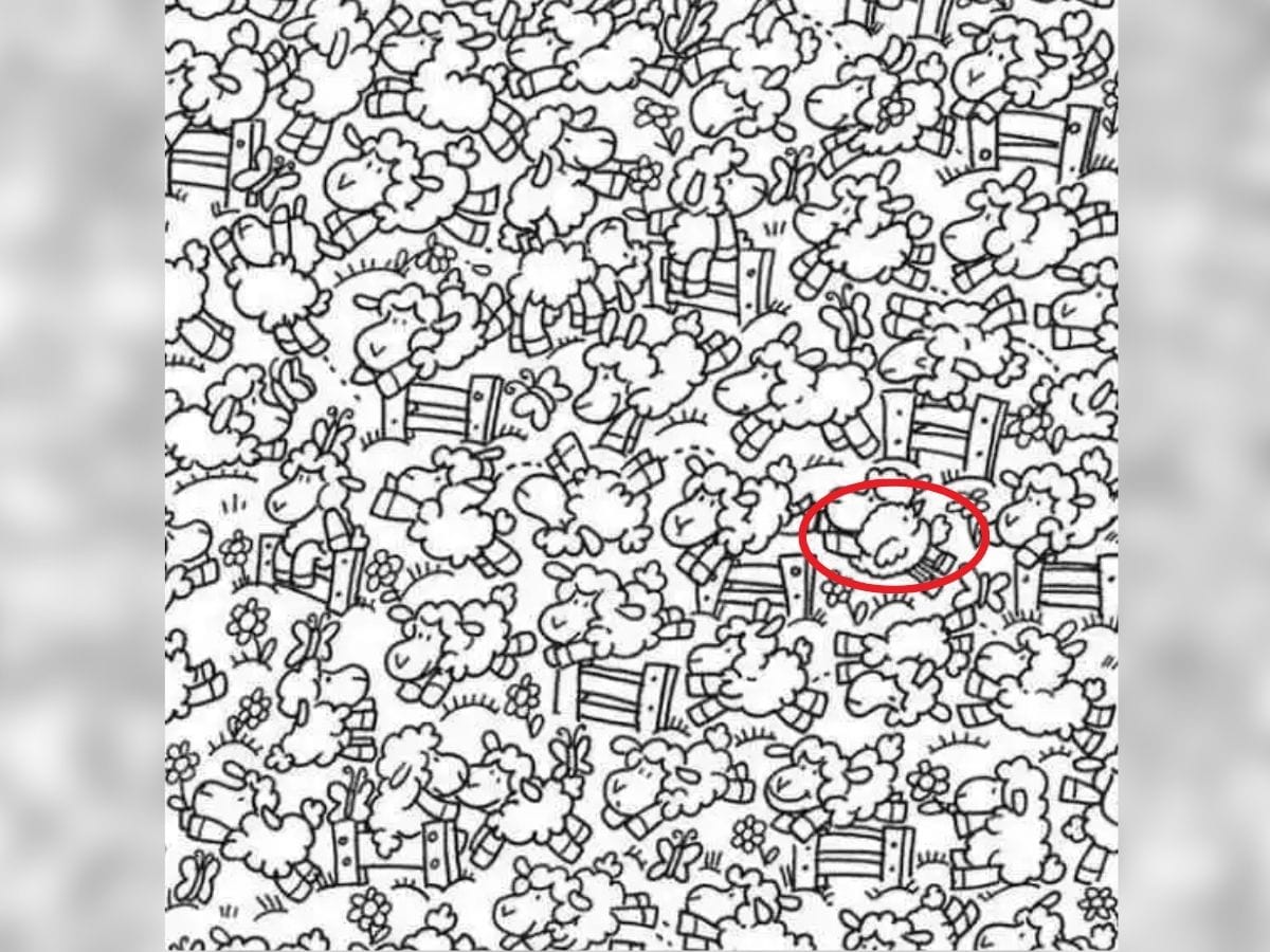 can you spot a chick, can you spot a chick in this picture, spot a chick in this picture, spot a chick in this picture within 6 seconds, optical illusion challenge, optical illusion, viral puzzle