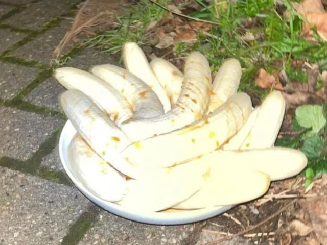 'रहस्यमय' केलों ने उड़ाई गांववालों की नींद, रखकर अदृश्य हो जाता है कोई!