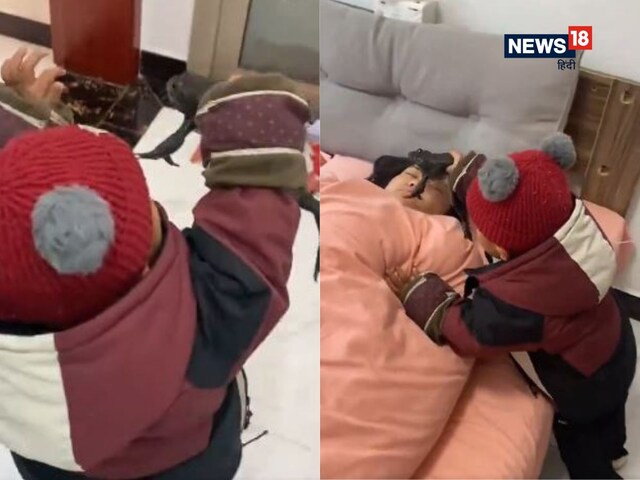 बच्चे ने बगीचे से पकड़ा मेंढक, कमरे में सो रही मां को गया दिखाने!