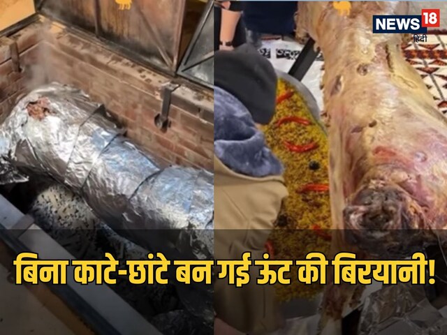 यहां बुलडोजर से बनी बिरयानी, बिना काटे ही पका डाला पूरा का पूरा ऊंट!