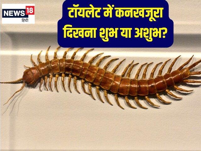 टॉयलेट, किचन में कनखजूरे का दिखना शुभ या अशुभ? क्या होगा कोई अपशकुन