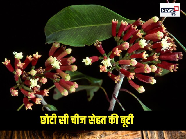 नेचुरल पेनकिलर है किचन का यह मसाला, पेट के कीड़ों के लिए है काल, लिवर के लिए