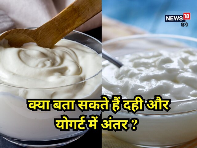 क्या है दही और योगर्ट में अंतर! 90% लोग समझते हैं एक ही... यहां जानें फायदे