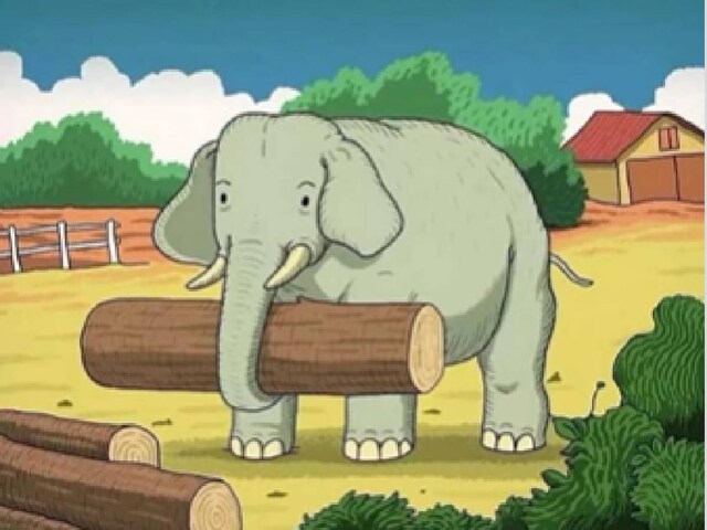 तस्वीर में ढूंढना है एक घोड़ा, नहीं आ रहा किसी को नज़र, आप खोज पाए 7 सेकंड में