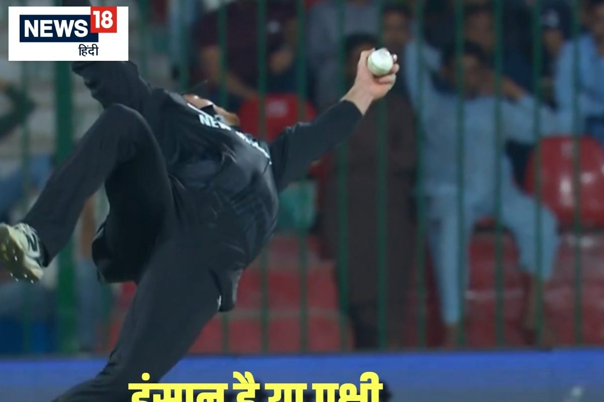 हवा में उड़े फिलिप्स... एक हाथ से लपका कैच, नहीं होगा आंखों पर यकीन