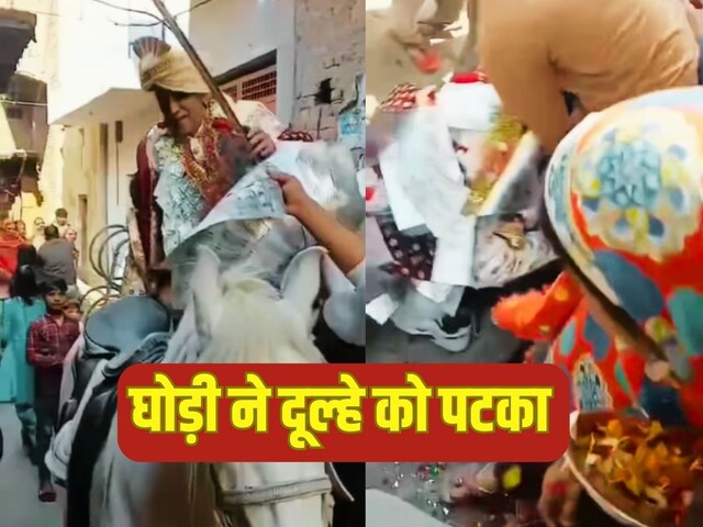 घोड़ी को नहीं भाया दूल्हा, चढ़ते ही पटका, कुचलकर किया वो हाल, धरे रह गए अरमान