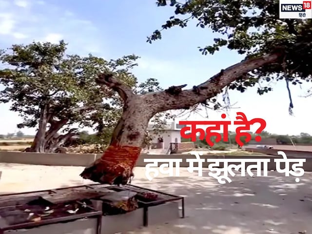 कहां है हवा में झूलता पेड़?, इससे जुड़ी है लोगों की आस्था, जानें इसका रहस्य कहां है हवा में झूलता पेड़?, इससे जुड़ी है लोगों की आस्था, जानें इसका रहस्य
