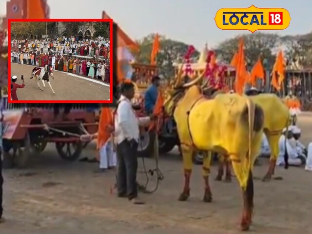सैकड़ों भक्त, गूंजते जयकारे और भागते घोड़े! ये रोमांचक उत्सव कहा होता है?
