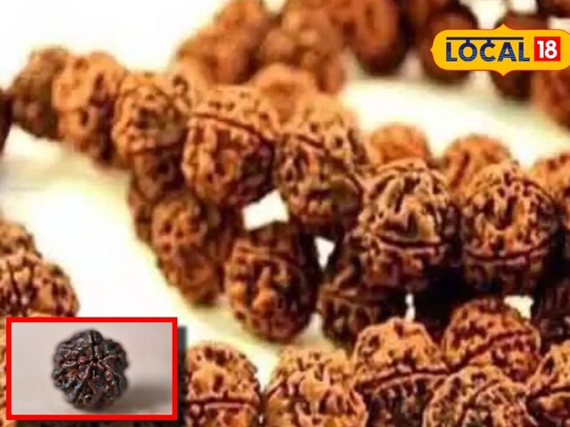 किसी ने बताया नहीं होगा! ये रुद्राक्ष बदल सकता है आपकी तकदीर, लेकिन शर्त ये है किसी ने बताया नहीं होगा! ये रुद्राक्ष बदल सकता है आपकी तकदीर, लेकिन शर्त ये है