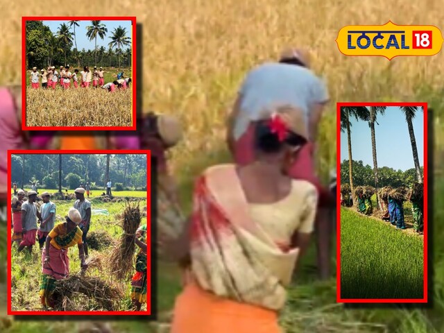 लैपटॉप छोड़ खेतों में उठाई कुदाल! जब 'शहरी बाबू' बने किसान,देखने लायक था नजारा