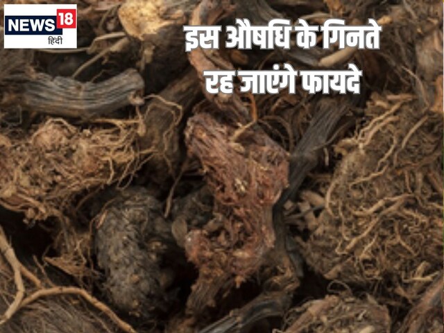 महादेव के प्रिय इस औषधीय जड़ी बूटी के गिनते रह जाएंगे फायदे घातक रोग छू न पाए