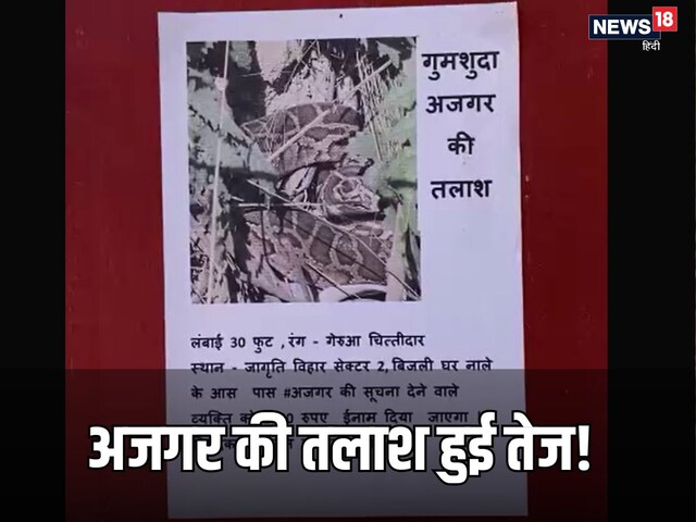 लापता अजगर ने उड़ाए लोगों के होश, रंग-गेरुआ, लंबाई तीस फीट, ढूंढने वाले को मिलेंगे इतने पैसे