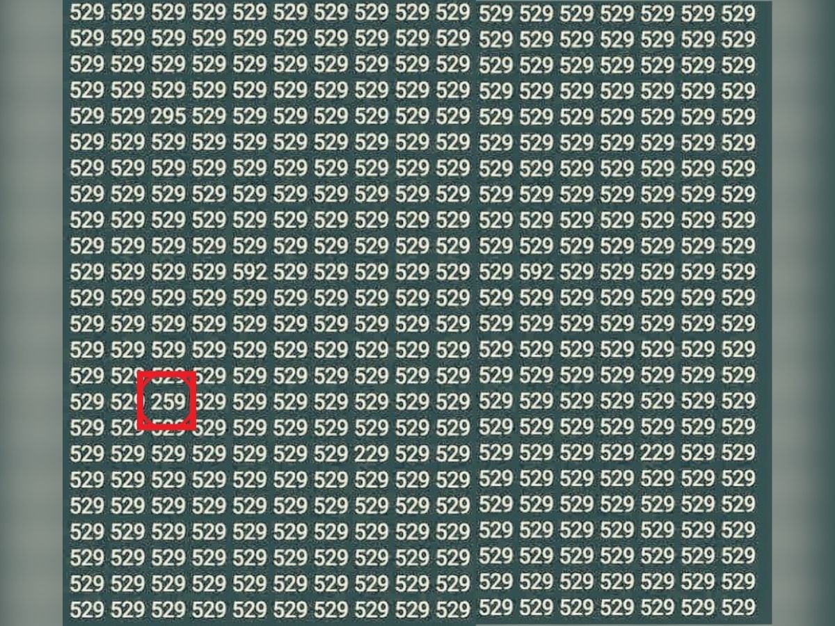 can you find 259 in the crowd of 529, can you find 259 in the crowd of 529 within 9 seconds, find 259 in the crowd of 529, find 259 in the crowd of 529 within 9 seconds, optical illusion challenge, optical illusion, viral puzzle