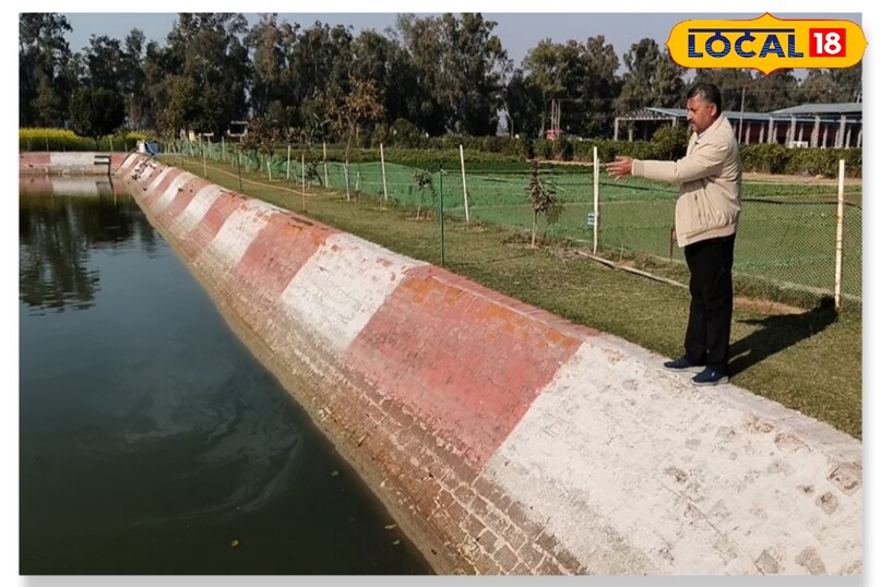Chhali and Duck Farming: मछली और बत्तख पालन से किसान कमा सकते हैं मोटी ...
