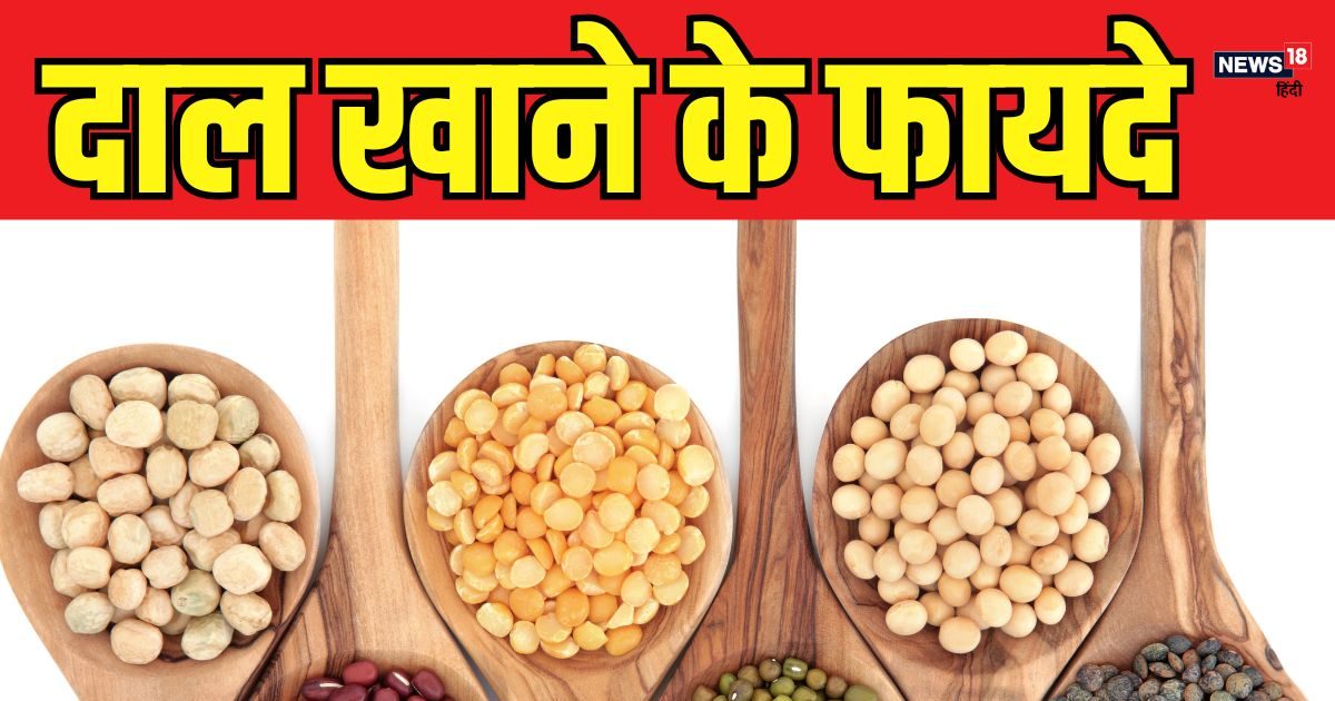 वजन कम करना है तो दाल खाएं, किन लोगों को इसे खाने से बचना चाहिए, जानिए दाल खाने का सही तरीका