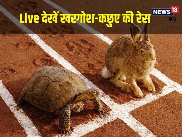 कलियुग में खरगोश-कछुए ने फिर लगाई रेस, इस बार किसकी हुई जीत? देखने दौड़ आए लोग