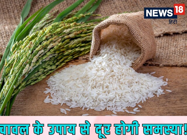 1 मुट्ठी चावल का ये उपाय बनाएगा आपको मालामाल! दूर होगी आर्थिक तंगी!