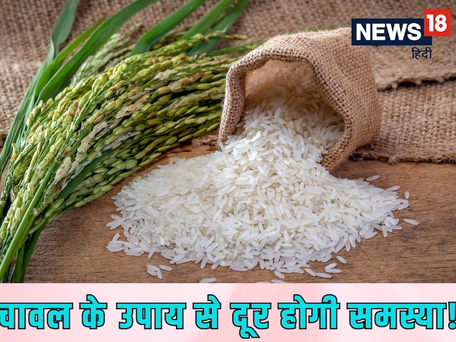 1 मुट्ठी चावल का ये उपाय बनाएगा आपको मालामाल! दूर होगी आर्थिक तंगी! 1 मुट्ठी चावल का ये उपाय बनाएगा आपको मालामाल! दूर होगी आर्थिक तंगी!