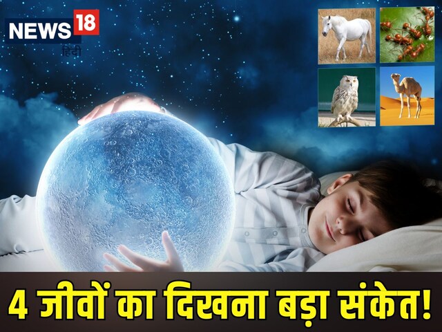 सपने में सफेद घोड़ा या ऊंट दिखना करता है बड़े इशारे, 4 जीवों का दिखना शुभ-अशुभ