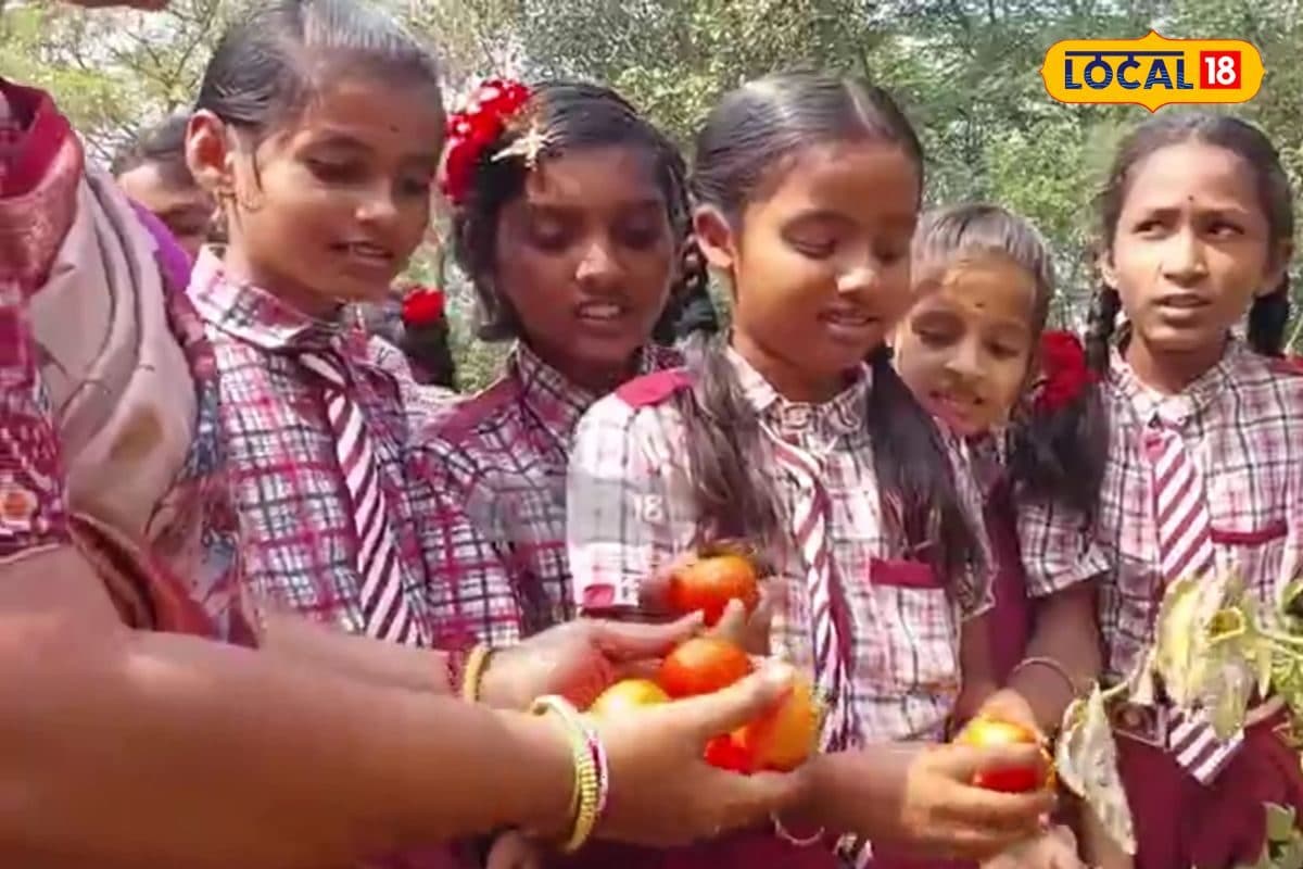 खेती भी पढ़ाई भी! इस स्कूल में बच्चे खुद उगाते हैं सब्जियां फिर खाते भी हैं