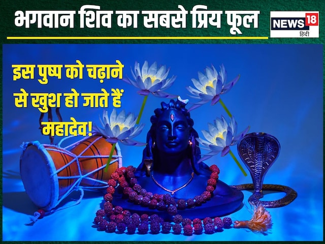 शिव जी को सबसे प्रिय है यह फूल, महाशिवरात्रि पर करें अर्पित, हर कमी होगी पूरी!