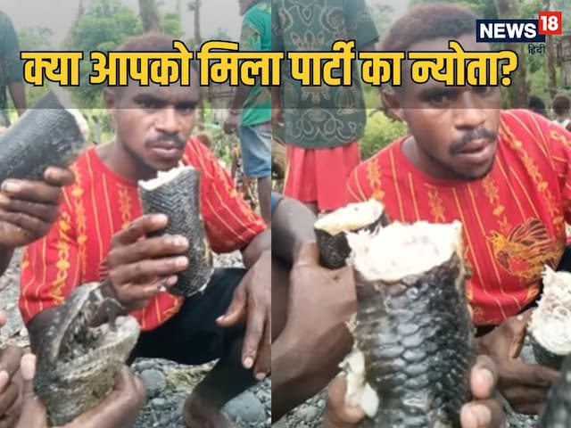 जंगल में दिखा अजगर, भागने की जगह लोगों ने उड़ाई दावत, दहशत में आया सांप समाज! जंगल में दिखा अजगर, भागने की जगह लोगों ने उड़ाई दावत, दहशत में आया सांप समाज!