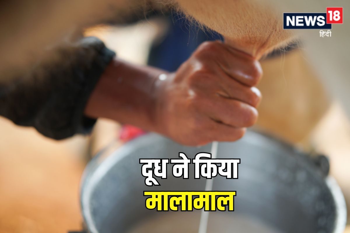 भाई से पैसे उधार ले शुरू किया बिजनेस, अब हर महीने कमाते हैं 3 लाख रुपये