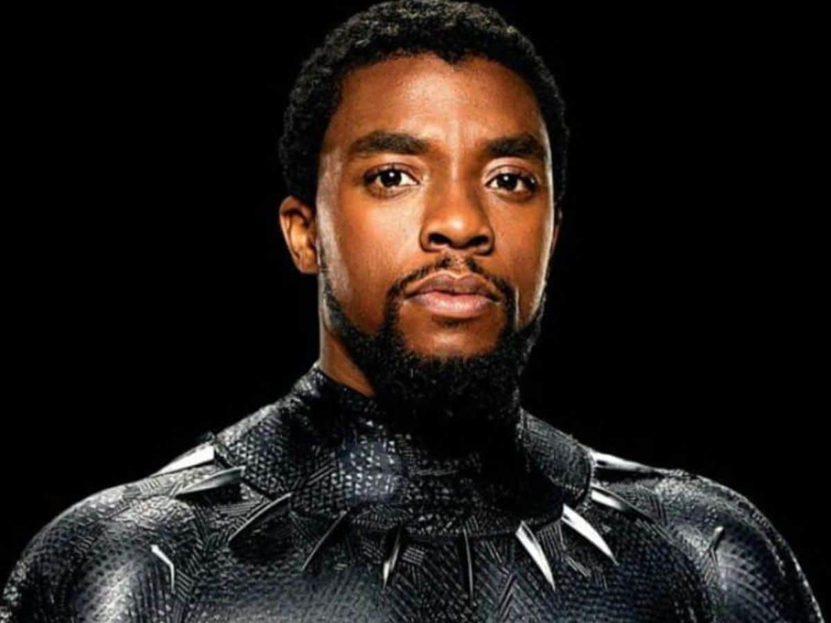 worlds richest superhero, richest superhero, black panther, batman, iron man, thor, elon musk net worth, tchalla black panther, world ricest man net worth