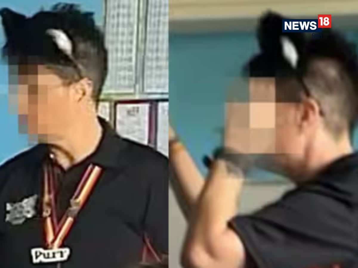 teacher identify as cat