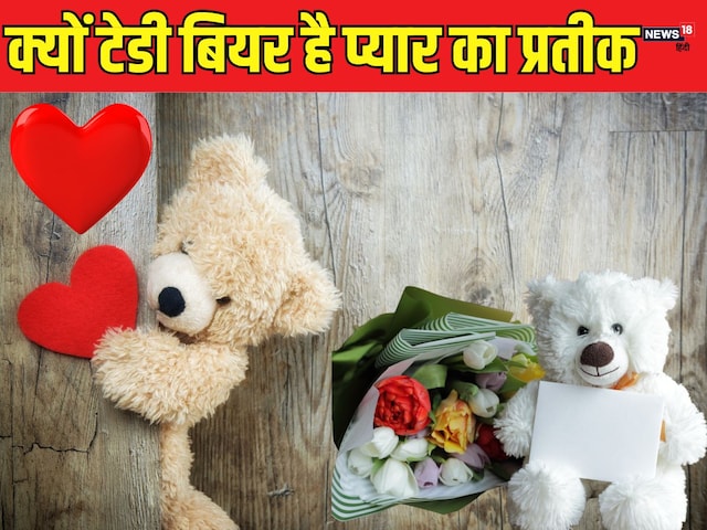 Teddy Day History: How Teddy became a symbol of love, know the history of Teddy Day Teddy Day History: How Teddy became a symbol of love, know the history of Teddy Day