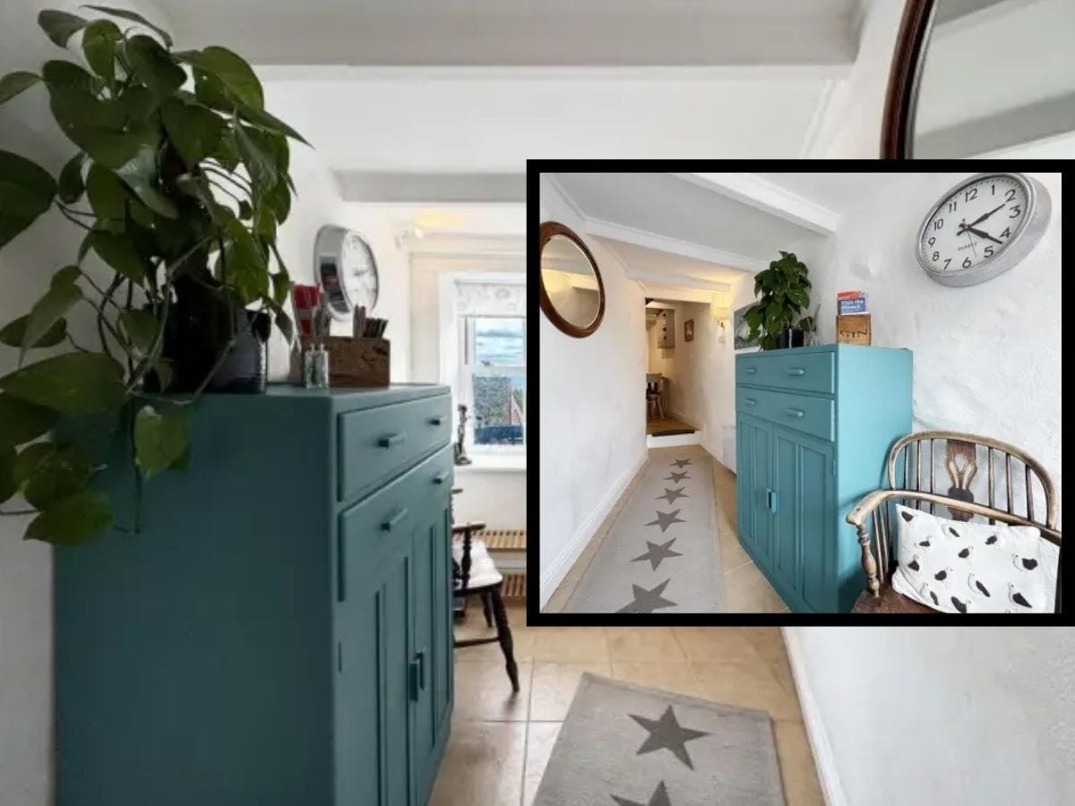 tiniest house for sale, tiny house for sale at two and half crore, 3 feet wide house is for sale at 2.5 crore, bizarre property deal, property sale, small house is on sale for 2.5 crore